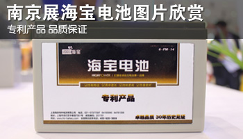 专利产品 品质保证 2012南京展海宝电池图片欣赏